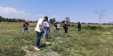 219 restos óseos humanos descubiertos en las lagunas de La Habana, entre Tláhuac y Chalco