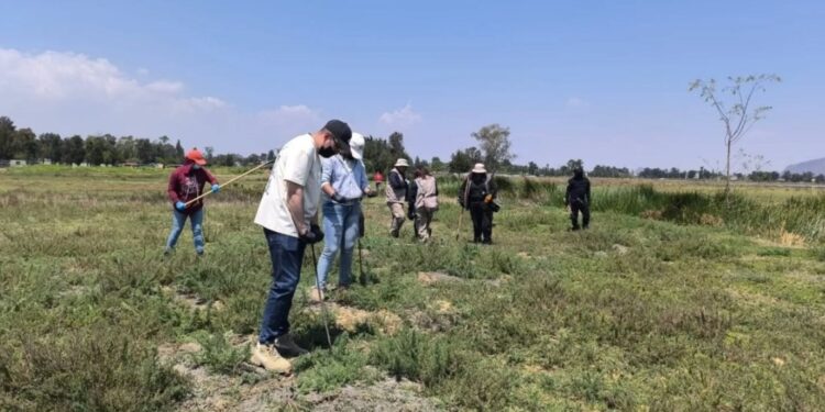 219 restos óseos humanos descubiertos en las lagunas de La Habana, entre Tláhuac y Chalco