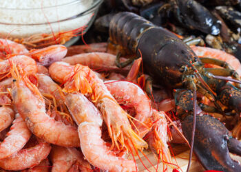 Preocupación mundial: virus antes exclusivo de animales acuáticos ahora afecta a humanos