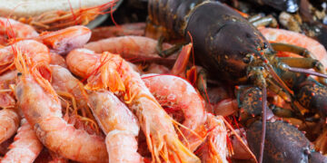 Preocupación mundial: virus antes exclusivo de animales acuáticos ahora afecta a humanos