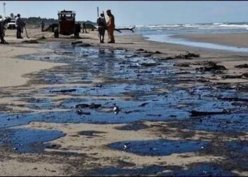 Organizaciones civiles acusan a Pemex de ocultar desde febrero el derrame de petróelo en el Golfo de México