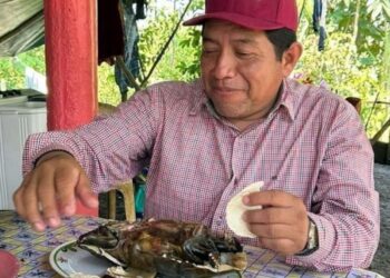 Exhiben a dirigente de Morena en Tabasco por consumir tortuga guao, especie protegida