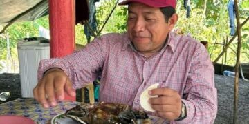 Exhiben a dirigente de Morena en Tabasco por consumir tortuga guao, especie protegida