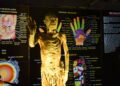 Inauguran en Metepec la exposición “Bodies: Cuerpos Humanos Reales”