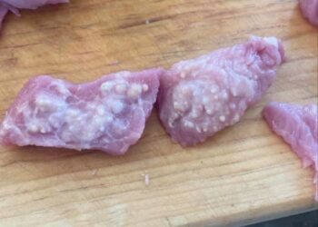 Alarma en Cintalapa por carne de cerdo en condiciones “desagradables” con cisticercosis