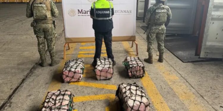 Semar detiene a cinco ecuatorianos y asegura 137 kilos de cocaína en Lázaro Cárdenas