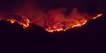 Emergencia en Sonora: El fuego devora la Sierra de Tarachi ante la ausencia de apoyo institucional