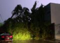 Alerta en Ciudad del Carmen: Cable de alta tensión reventado, árbol caído y deslave en carretera por lluvias