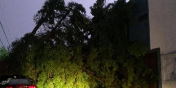 Alerta en Ciudad del Carmen: Cable de alta tensión reventado, árbol caído y deslave en carretera por lluvias