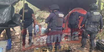 Localizan y destruyen presunto campamento clandestino de grupo delictivo en zona serrana de Pátzcuaro