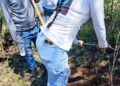 Al menos tres cuerpos y restos óseos son hallados en fosas clandestinas en Navolato y Culiacán