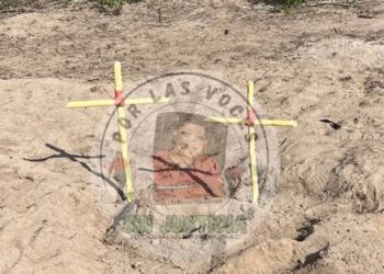 Colectivos localizan cuatro cuerpos masculinos en fosa clandestina de Elota, Sinaloa