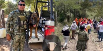 Elemento de la Marina muere y tres más resultan heridos en operativo con madres buscadoras en Mazatlán