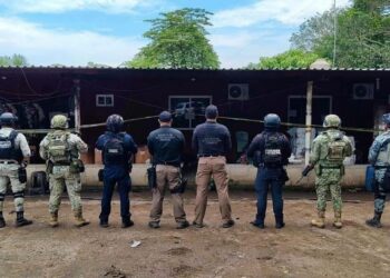 Arsenal de guerra en Tierra Blanca: Decomisan 108 armas largas, 50 granadas y casi media tonelada de marihuana