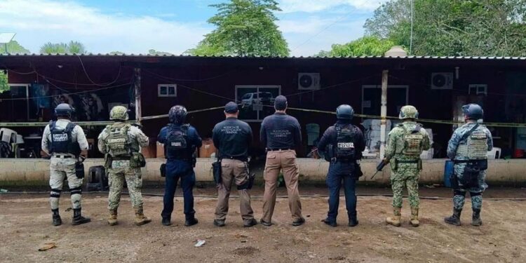 Arsenal de guerra en Tierra Blanca: Decomisan 108 armas largas, 50 granadas y casi media tonelada de marihuana