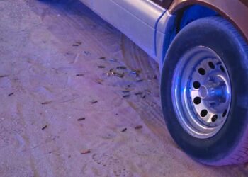 Asesinan a agente de la FESC en una taquería del poblado Benito Juárez, Valle de Mexicali