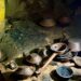 Descubren 179 piezas arqueológicas de más de mil años de antigüedad en una cueva de Cintalapa