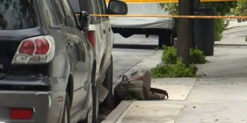 Localizan bolsas de lujo de Karely Ruiz abandonadas tras el robo en su casa