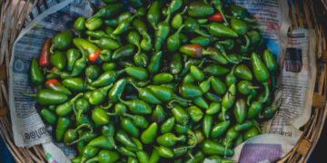 México responde a alegaciones de EE.UU. sobre sus chiles jalapeños