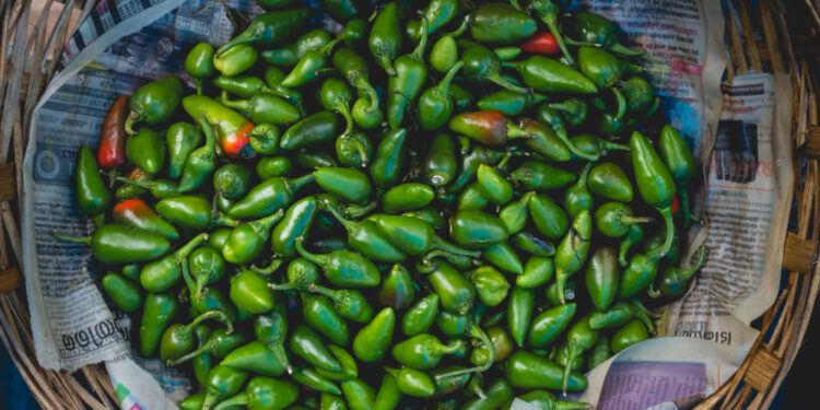 México responde a alegaciones de EE.UU. sobre sus chiles jalapeños