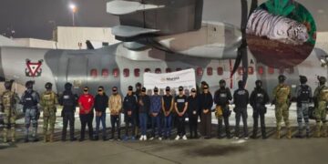 Megaoperativo federal en tres estados desarticula célula del CJNG: 20 detenidos y aseguramiento de felinos exóticos