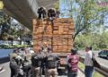 Aseguran tráiler con casi 58 metros cúbicos de madera de pino por documentación irregular