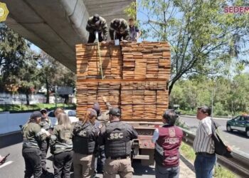 Aseguran tráiler con casi 58 metros cúbicos de madera de pino por documentación irregular