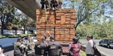 Aseguran tráiler con casi 58 metros cúbicos de madera de pino por documentación irregular