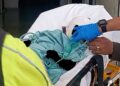 Perro ataca a niña de un año en Asientos; la reportan grave en el hospital