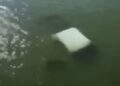 Tragedia en Tamaulipas: Cuatro marinos mueren tras caer su vehículo a río de Soto la Marina
