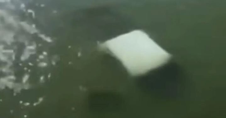 Tragedia en Tamaulipas: Cuatro marinos mueren tras caer su vehículo a río de Soto la Marina