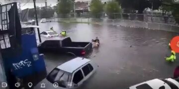 Temporal en Guadalajara: Rescatan a adultos y seis niños atrapados en inundación de avenida Colón
