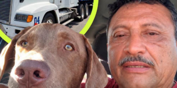 Reportan desaparición del operador Jorge Armando Rosado y su tráiler en ruta Las Choapas–Tuxtla Gutiérrez