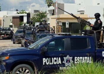 Despliegan operativo en Isla Musala tras denuncia anónima y resguardan dos viviendas en Banús 360