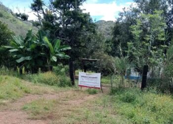 Localizan presunto centro de exterminio y fosa clandestina en Nayarit