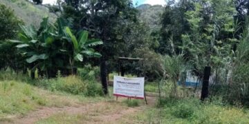 Localizan presunto centro de exterminio y fosa clandestina en Nayarit