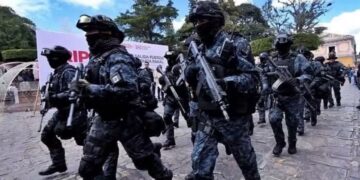Despliegan a la Fuerza Pakal y fuerzas federales en Chenalhó tras denuncias de asedio armado contra familias tsotsiles