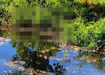 Localizan restos humanos en avanzado estado de descomposición en Teapa, Tabasco