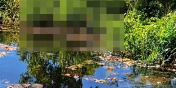 Localizan restos humanos en avanzado estado de descomposición en Teapa, Tabasco